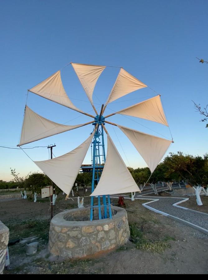 Limon Datca Datça Dış mekan fotoğraf